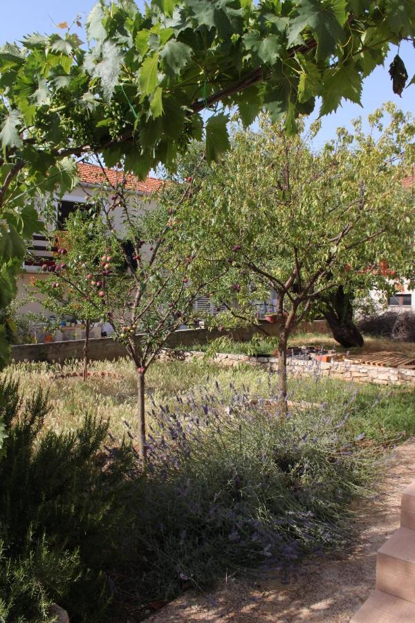 Apartments With A Parking Space Sali, Dugi Otok - 8136 ภายนอก รูปภาพ
